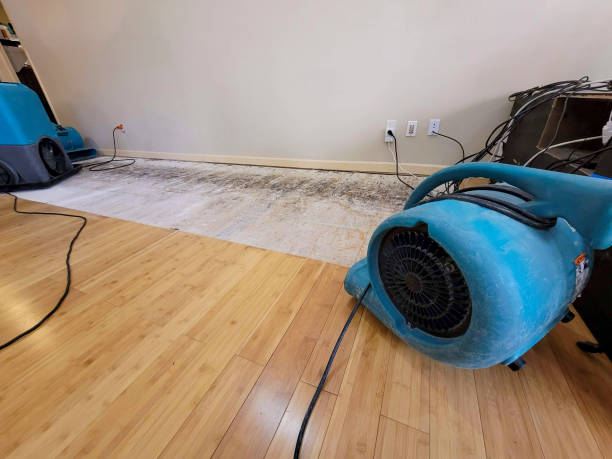 Professional Emergency Water Damage technician working in Middleton, TN